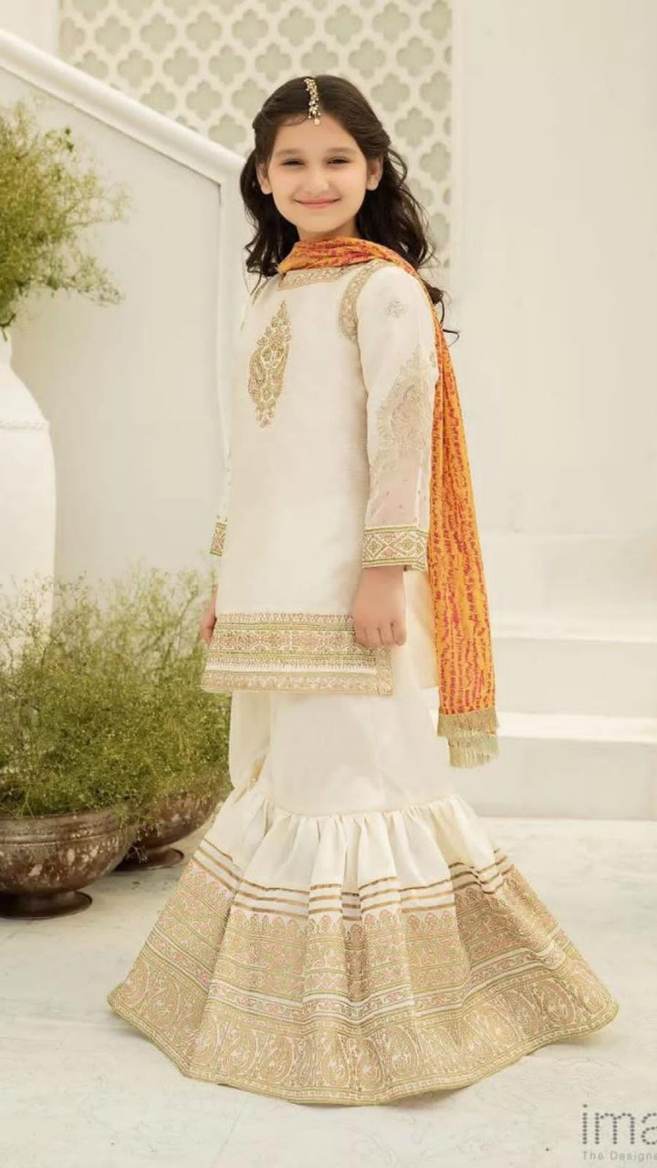 Embroidered chiffon Suit-Kids-Replica Zone