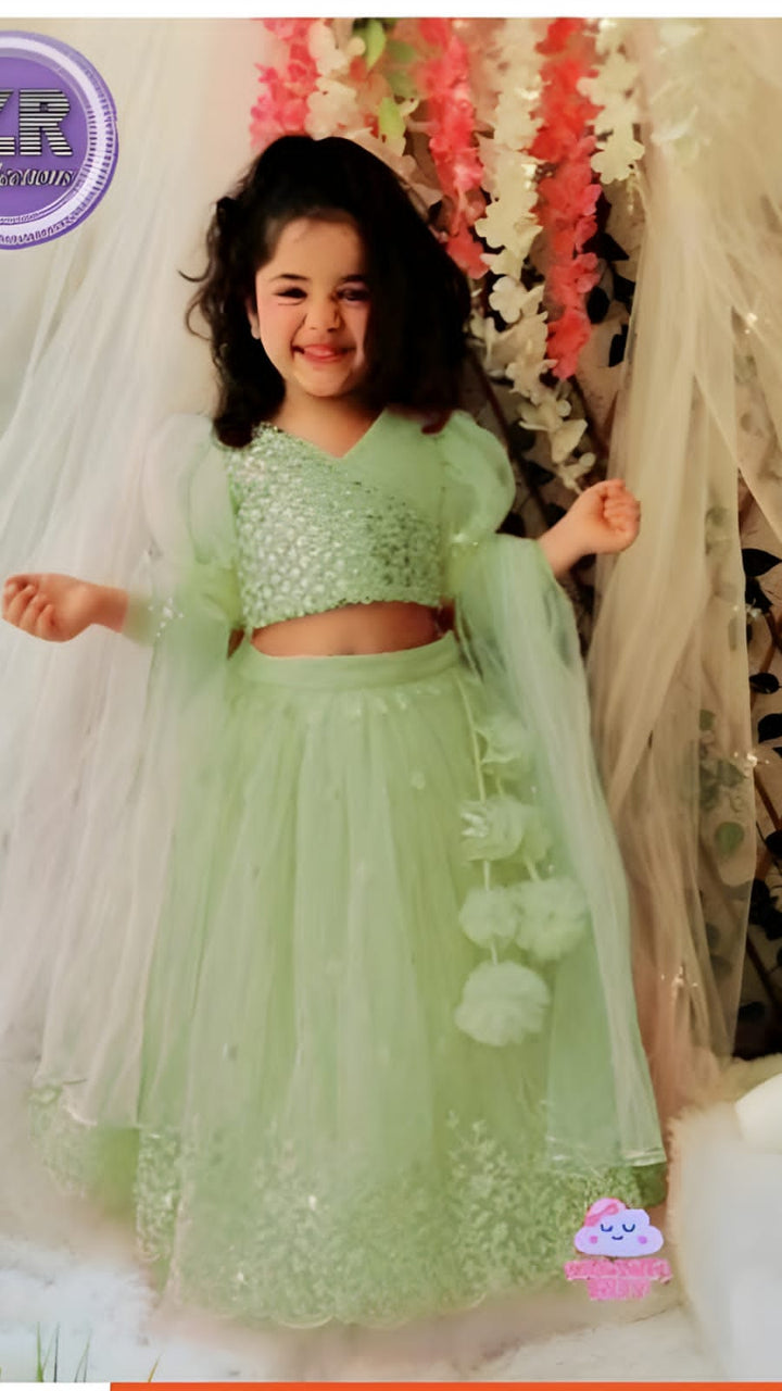 Embroidered Net Lehnga-Kids-Replica Zone