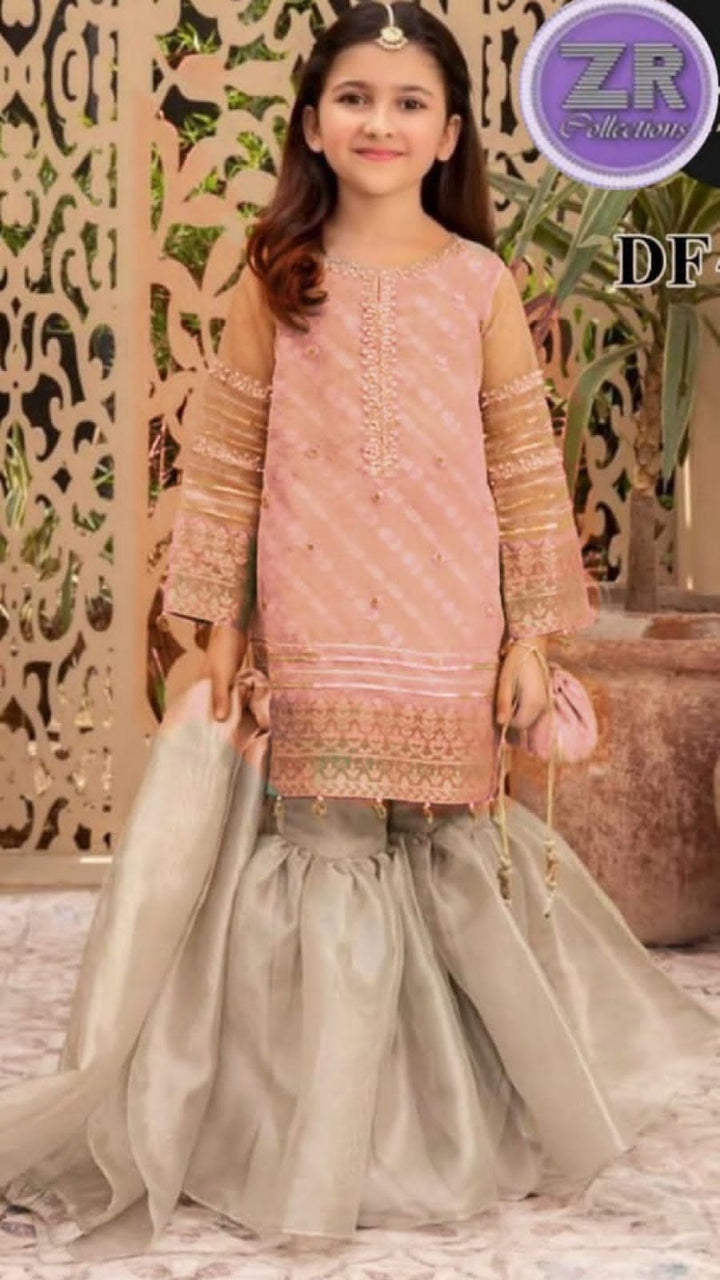 Embroidered Net Suit-Kids-Replica Zone