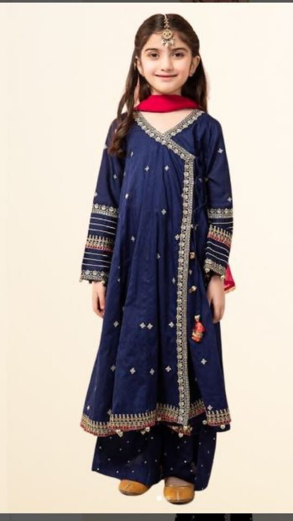 Embroidered Net Suit-Kids-Replica Zone