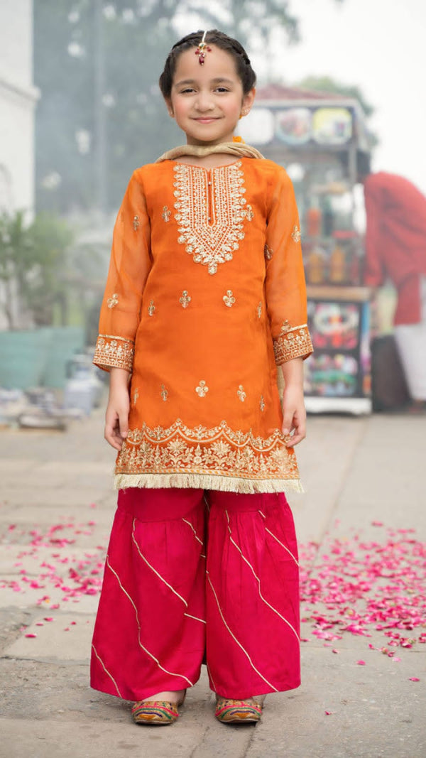 Embroidered Net Suit-Kids-Replica Zone