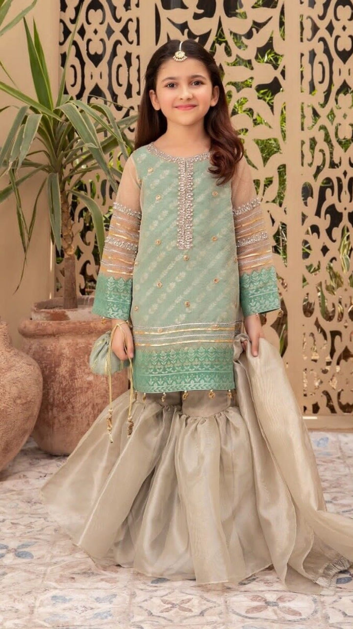 Embroidered Net Suit-Kids-Replica Zone