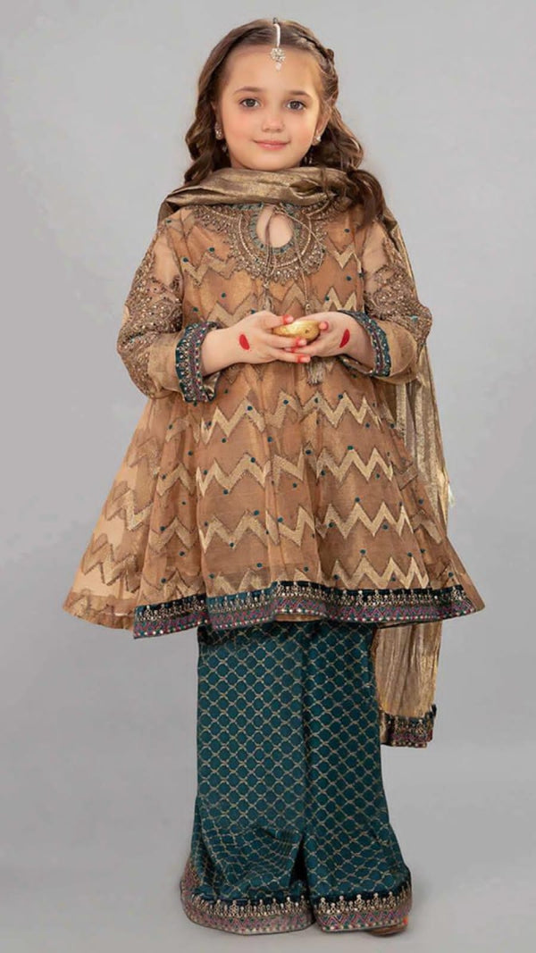 Embroidered Organza Suit-Kids-Replica Zone