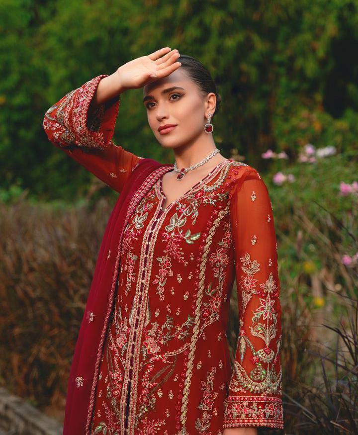 Gulaal Chiffon Suit-Replica Suits-Replica Zone