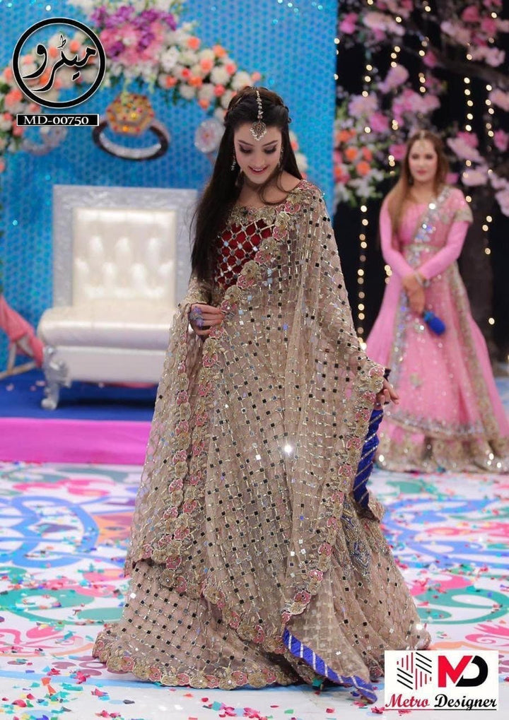 Kashee Net Bridal Suit-Bridal Suits-Replica Zone