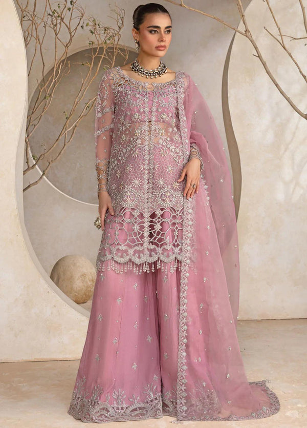 Rangrasiya Organza Suit-Replica Suits-Replica Zone