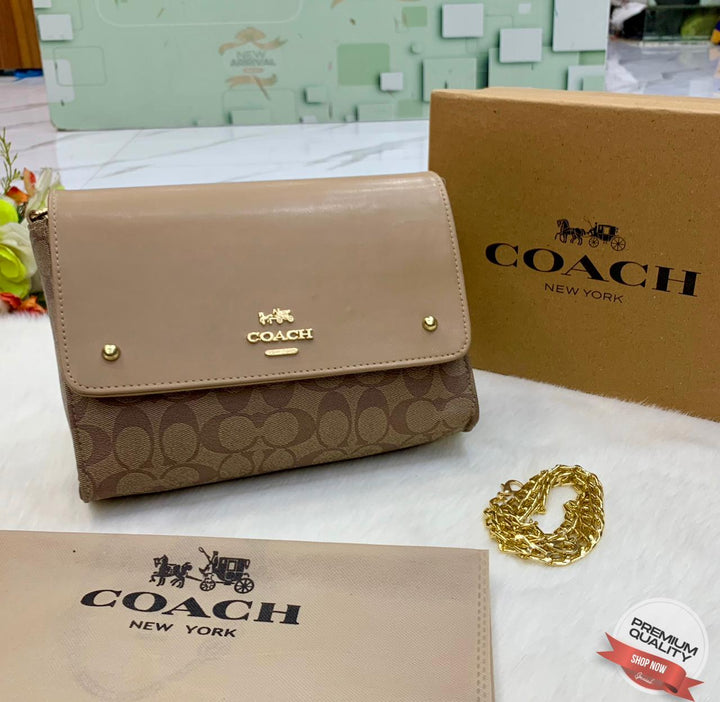 Stylish Coach Leather Handbags-Handbags-Replica Zone