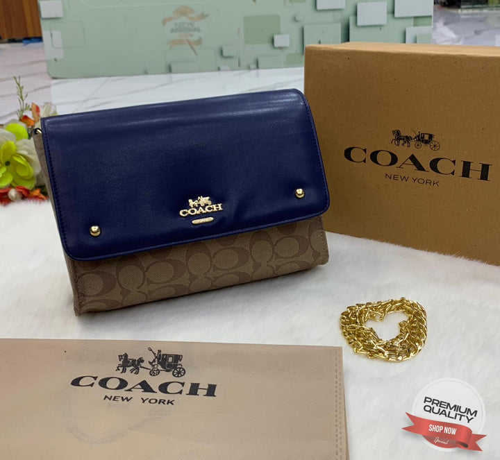 Stylish Coach Leather Handbags-Handbags-Replica Zone