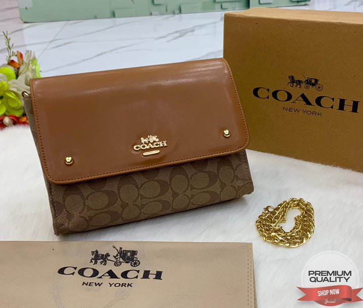 Stylish Coach Leather Handbags-Handbags-Replica Zone