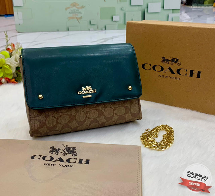 Stylish Coach Leather Handbags-Handbags-Replica Zone