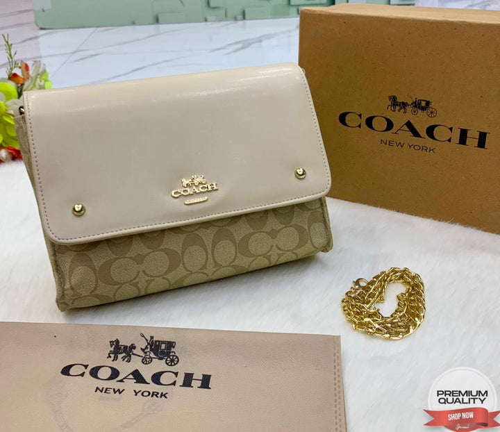 Stylish Coach Leather Handbags-Handbags-Replica Zone