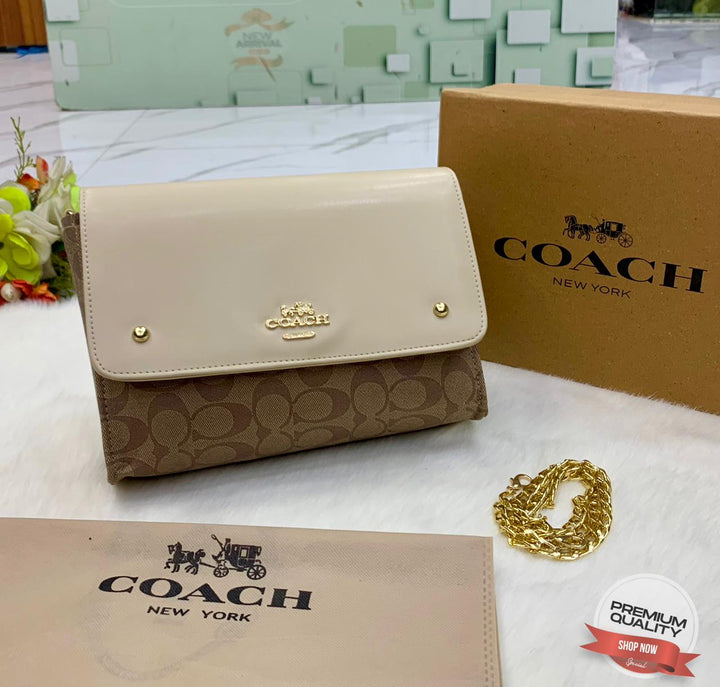 Stylish Coach Leather Handbags-Handbags-Replica Zone